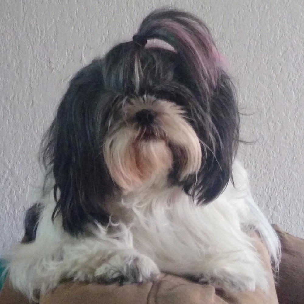 Meet your Posher, William